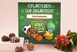 
                        Именной набор "Спасибо за знания", в индивидуальной упаковке, 16 конфет